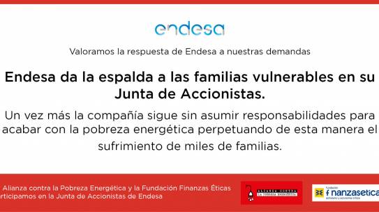 Endesa da la espalda a las familias vulnerables en su Junta de Accionistas